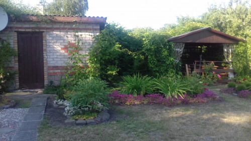 BANY---BESEDKA-16072021.-15a597f9b16306135.jpg