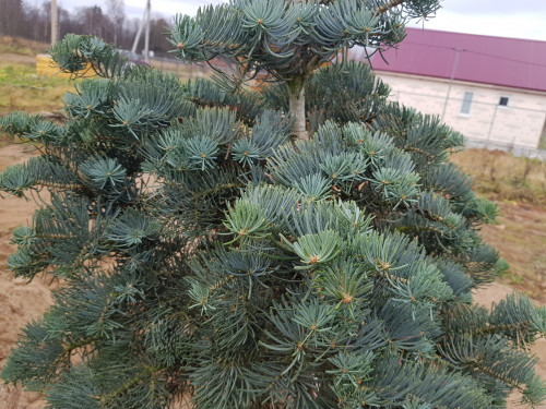 20211031_130836b9564f09225675644c9983980ef521e9.jpg