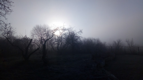 IMG 20211102 WA0010