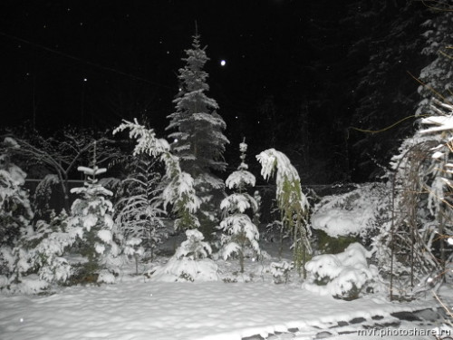 первый снегопад 31.10.16  а в нобяре был ледяной дождь и сломало лиственницу Вер Дирекшн