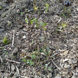 IMG_20200314_13544991e325a4893f759b