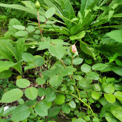 IMG_20200816_1235559b550deb5829a18e