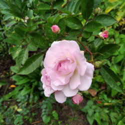 IMG_20201108_11505839c4e0cbaa693ac8