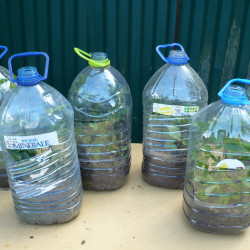 P14108904f6a54e040937e21