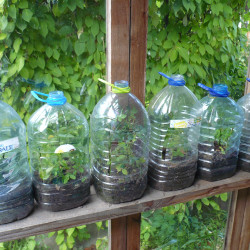 P1410901b0d273cdd90903cc