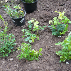 P1420010aca7c7a278342bb9