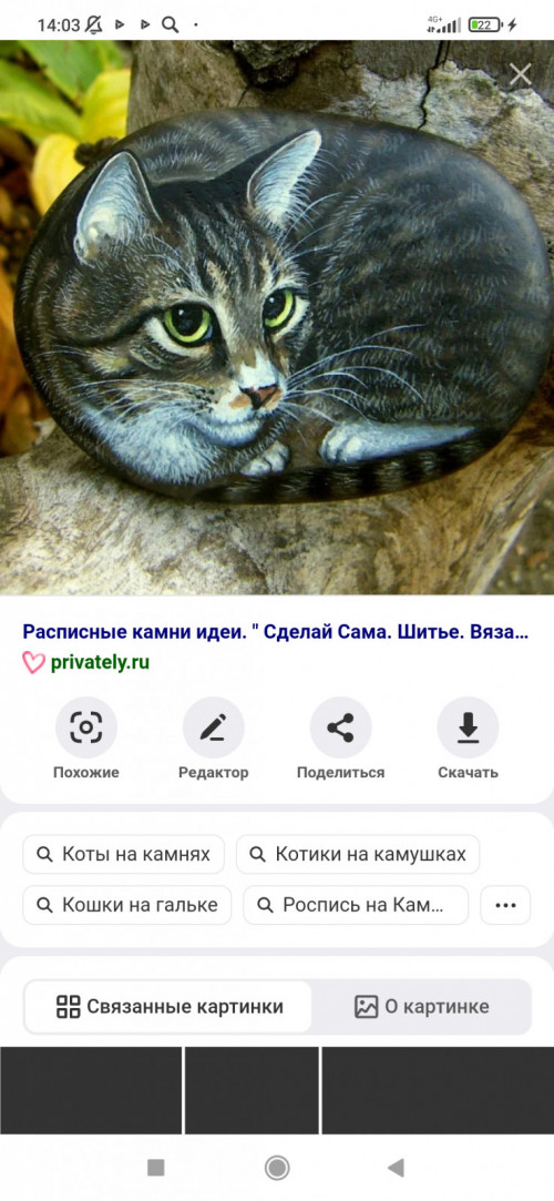 Screenshot 2022 07 07 14 03 49 053 ru.yandex.searchplugin