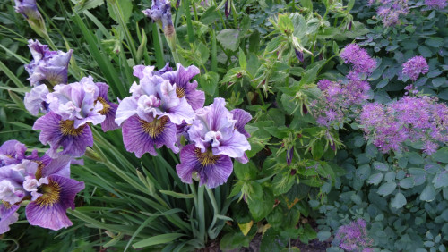 DSC00801