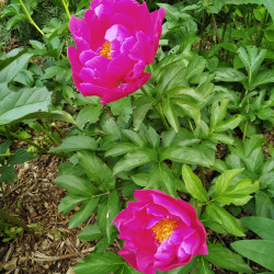 IMG_20230605_104013aad6ad8fa999be0d