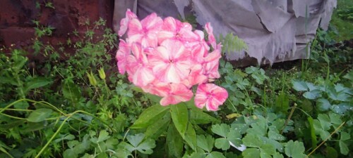 IMG 20230805 210939