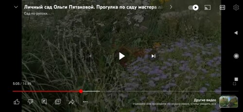 Screenshot_2023-09-04-01-47-37-677_com.google.android.youtubec2062413f5ea3e73.jpg